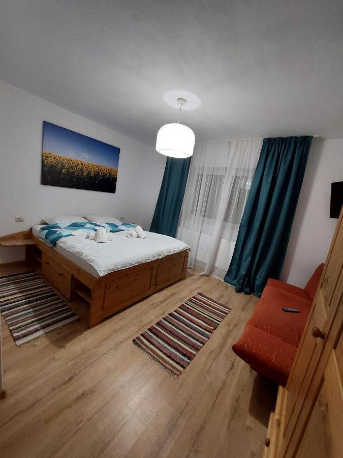 Vila Casuta De Sub Munte Cîrţişoara Exteriér fotografie
