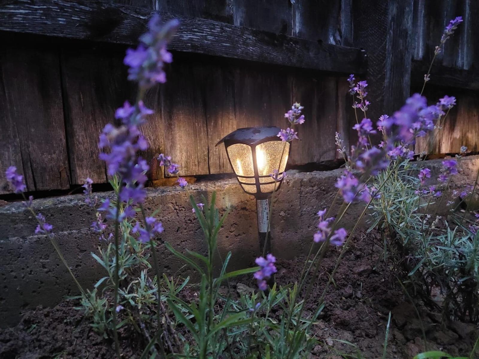 Vila Casuta De Sub Munte Cîrţişoara Exteriér fotografie